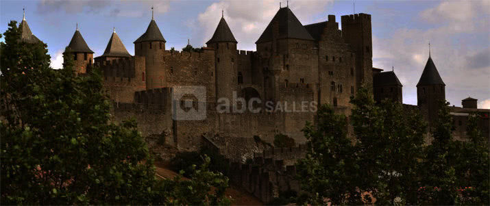 Cité de carcassonne