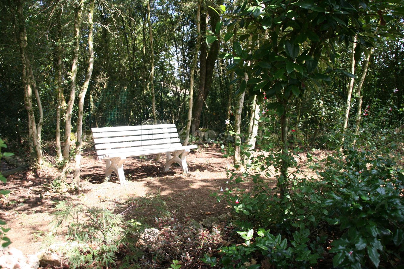 Villa des Eaux Claires