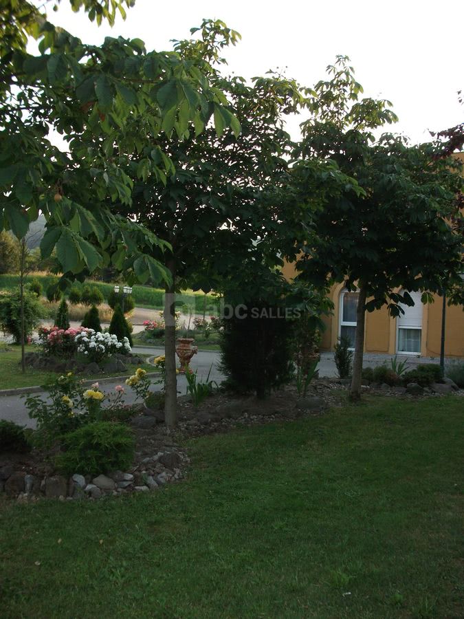 Terrasse ext parc