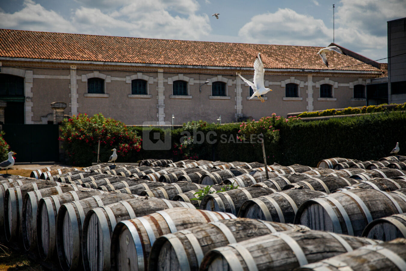 La Maison Noilly Prat