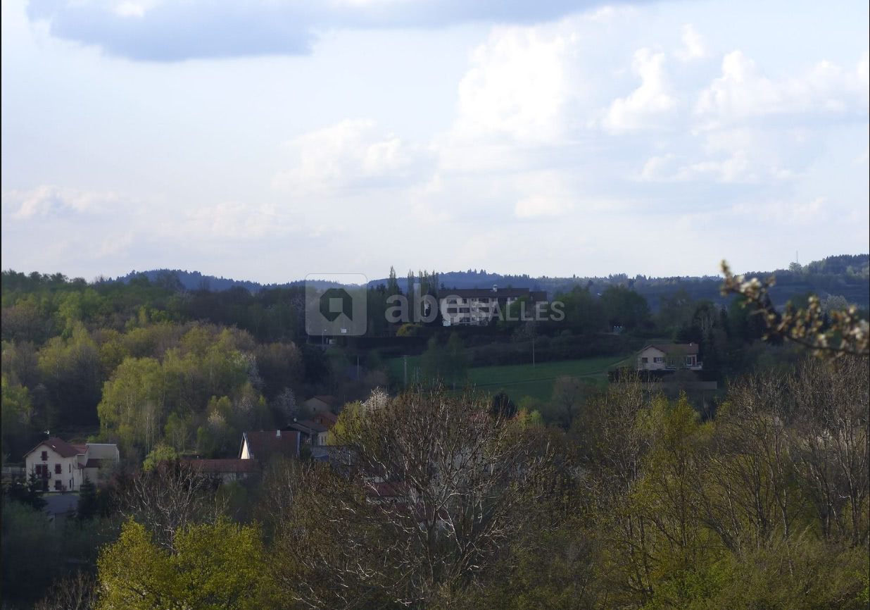 Vue