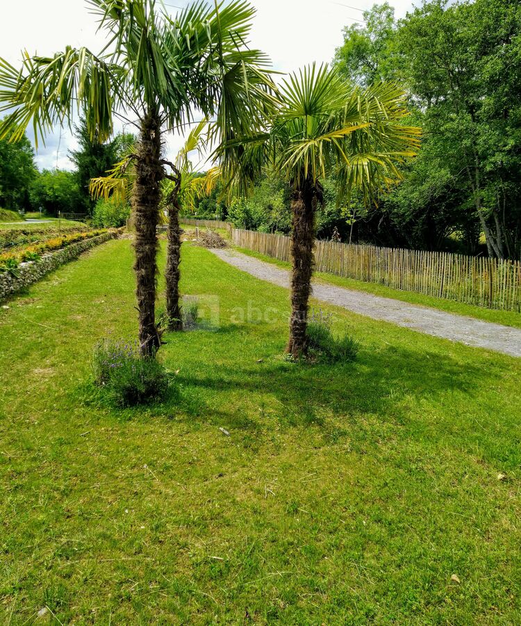 Allées et espaces verts