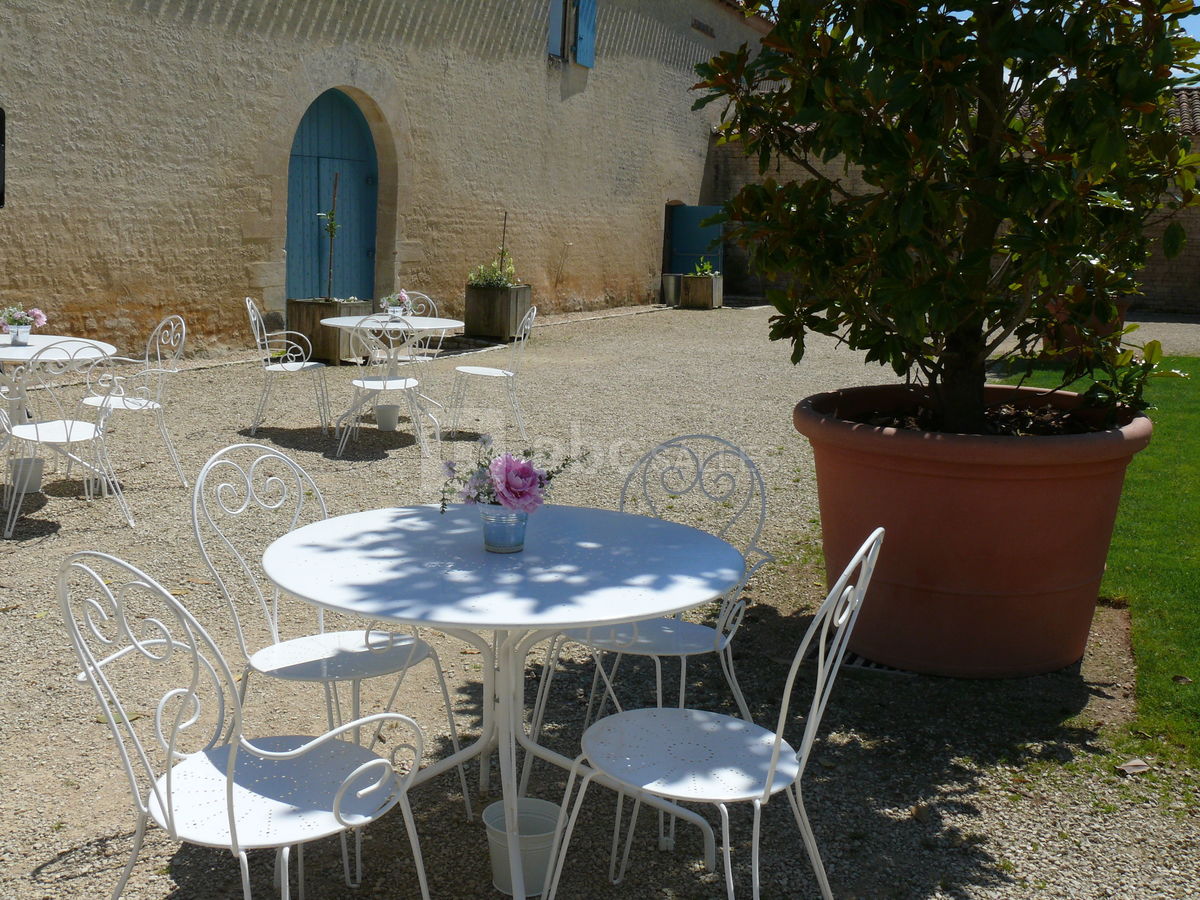 A l'ombre des magnolia en pots géants !