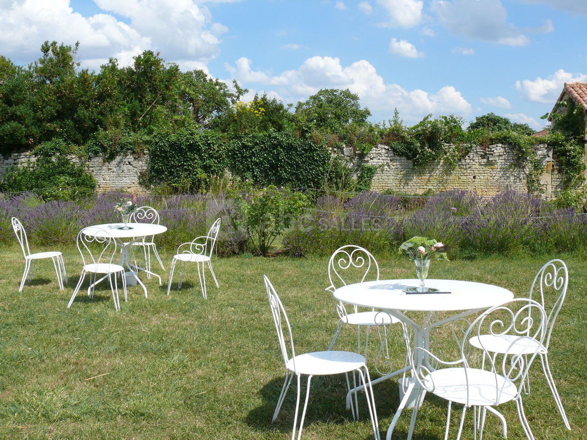 Dépaysement assuré avec les lavandes bleues !