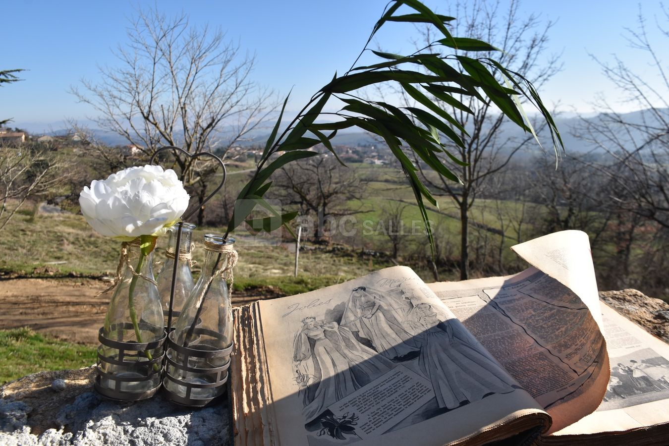 Vue pour le vin d’honneur