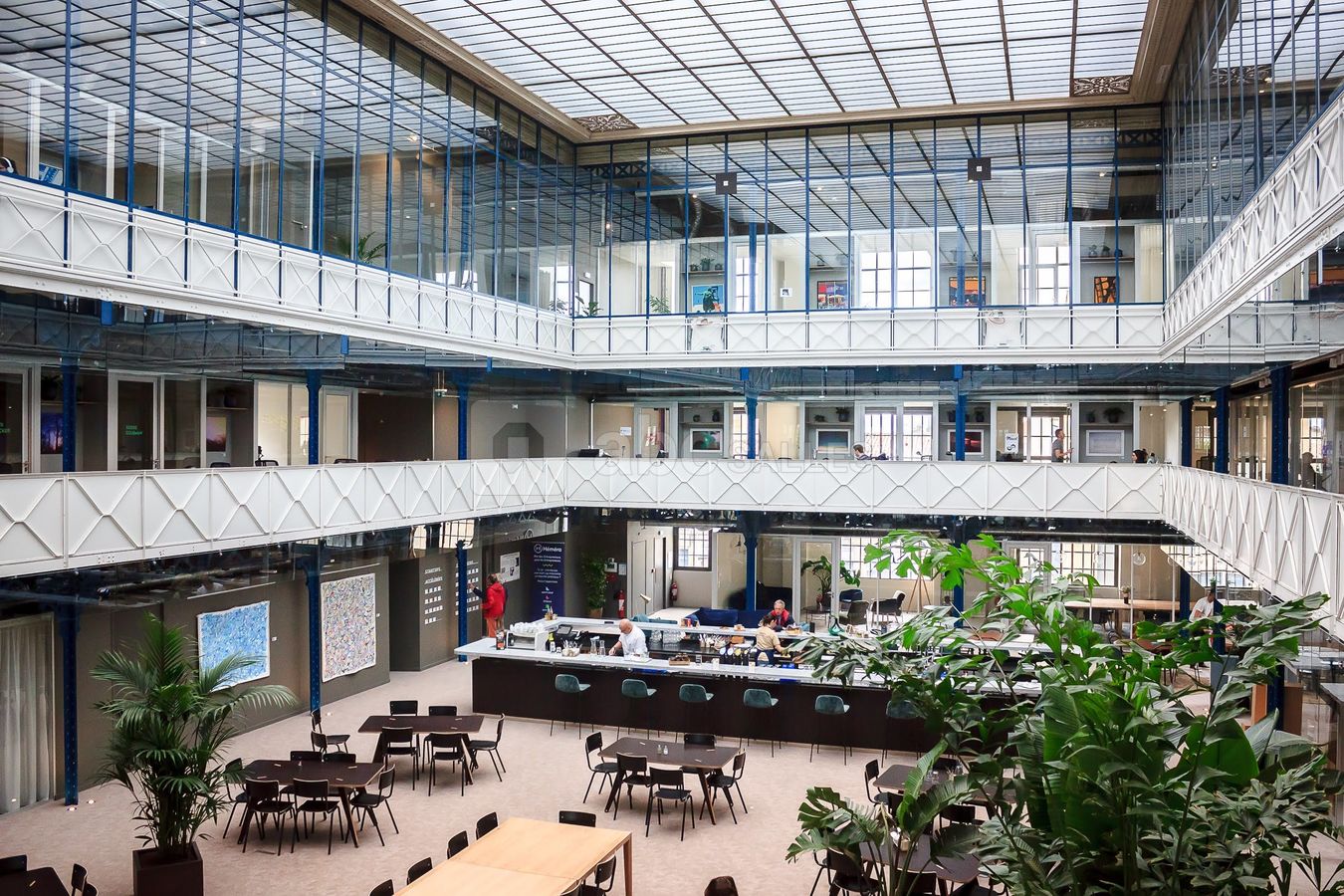 L'Atrium est naturellement éclairé