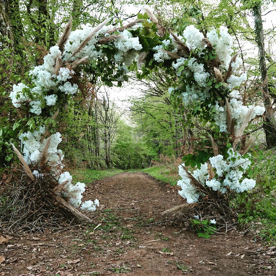 Arche de fleur