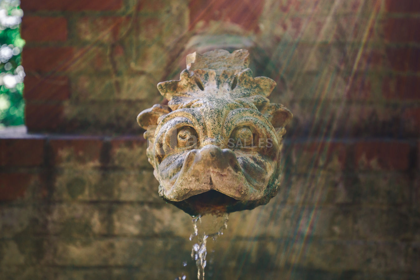 La fontaine