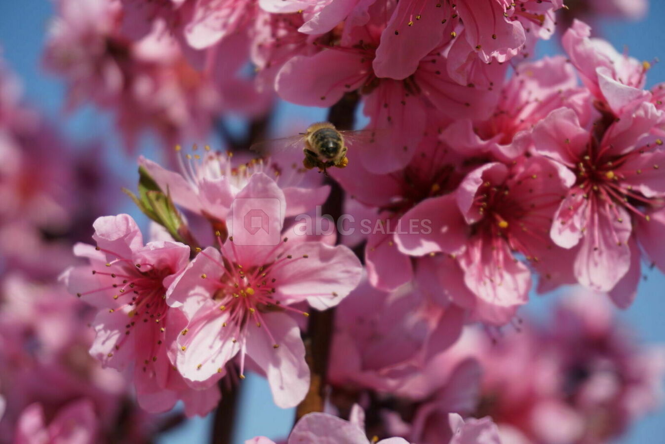 L'exploitation agricole