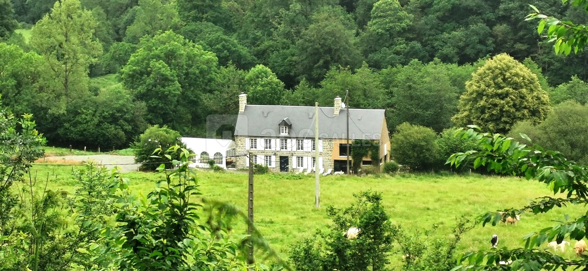 Vue du parc