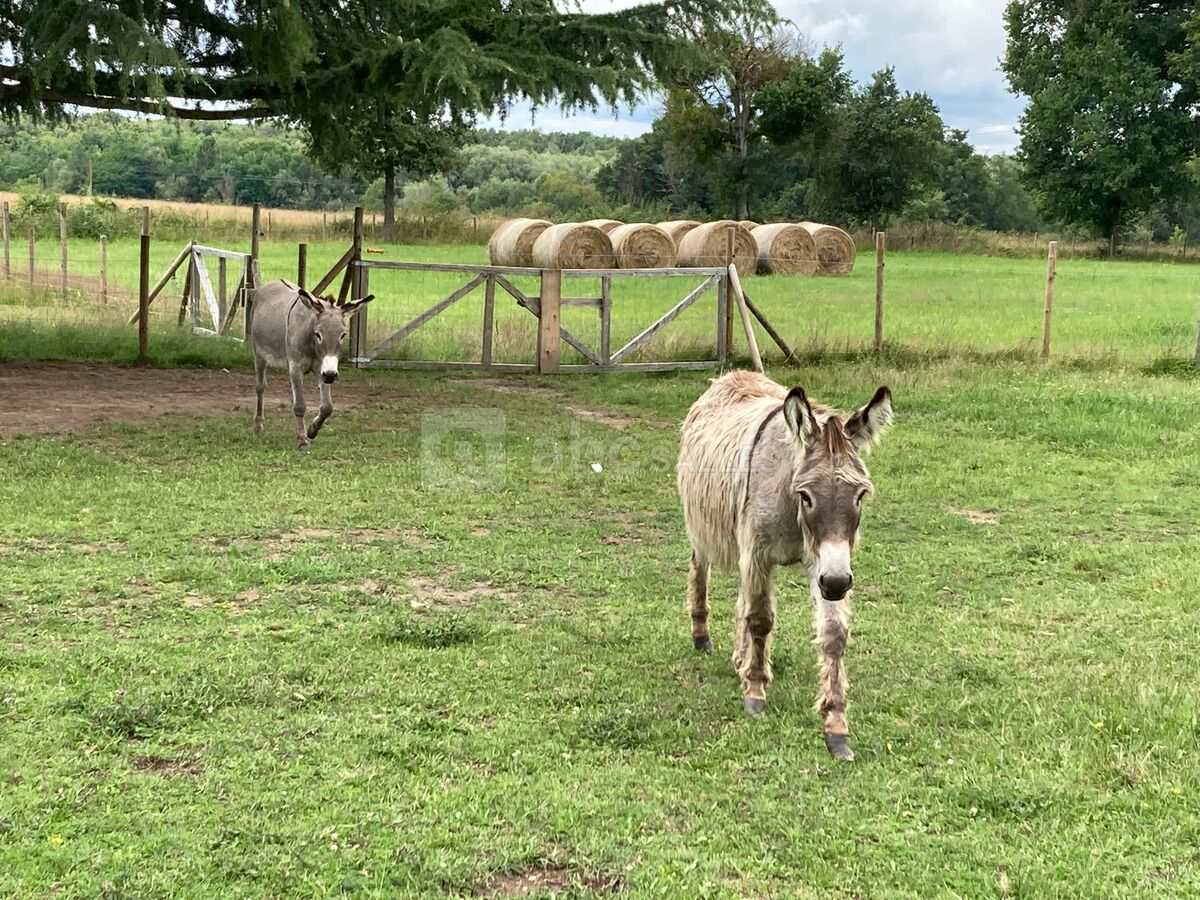 LES COMPAGNONS DU DOMAINE