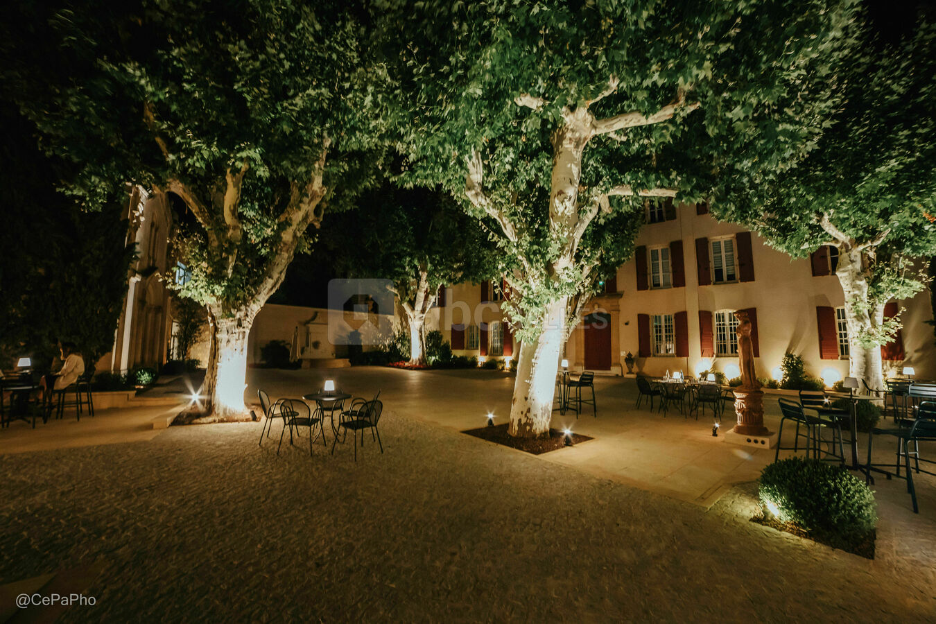 Cour des platanes