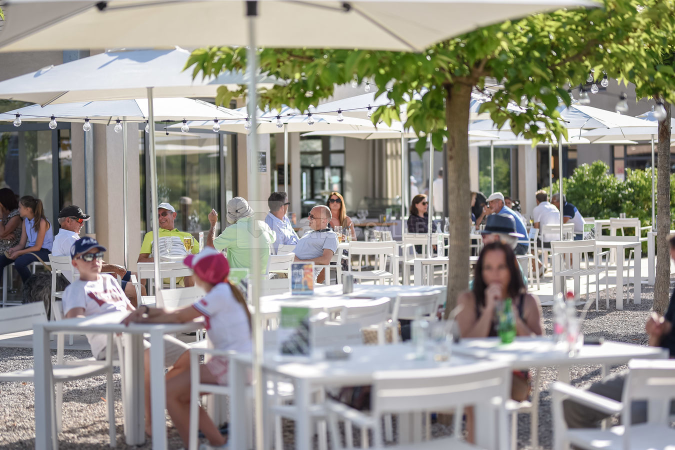 Restaurant LA TABLE des OLIVIERS