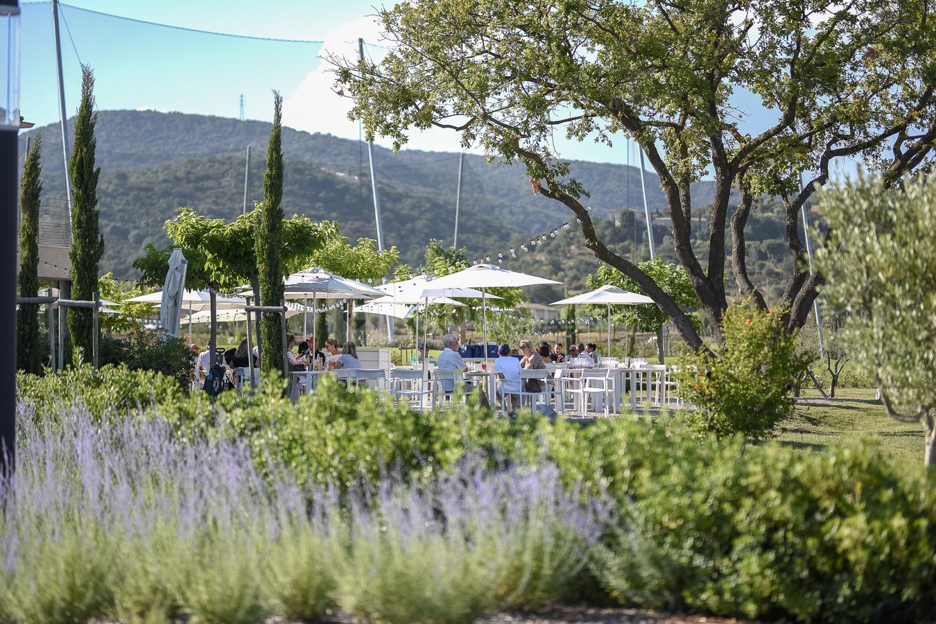 Restaurant LA TABLE des OLIVIERS