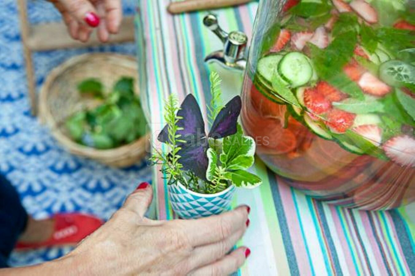 Jardin