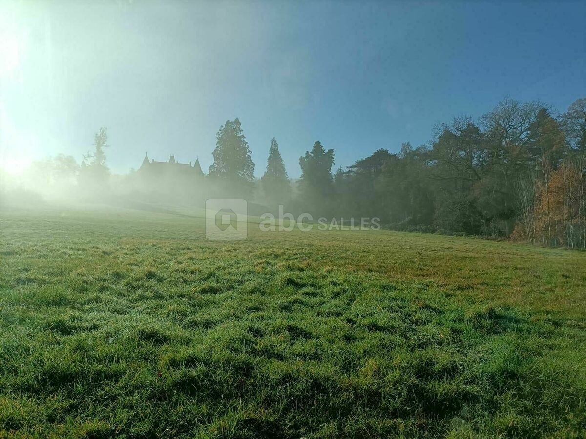 Parc du château au petit matin