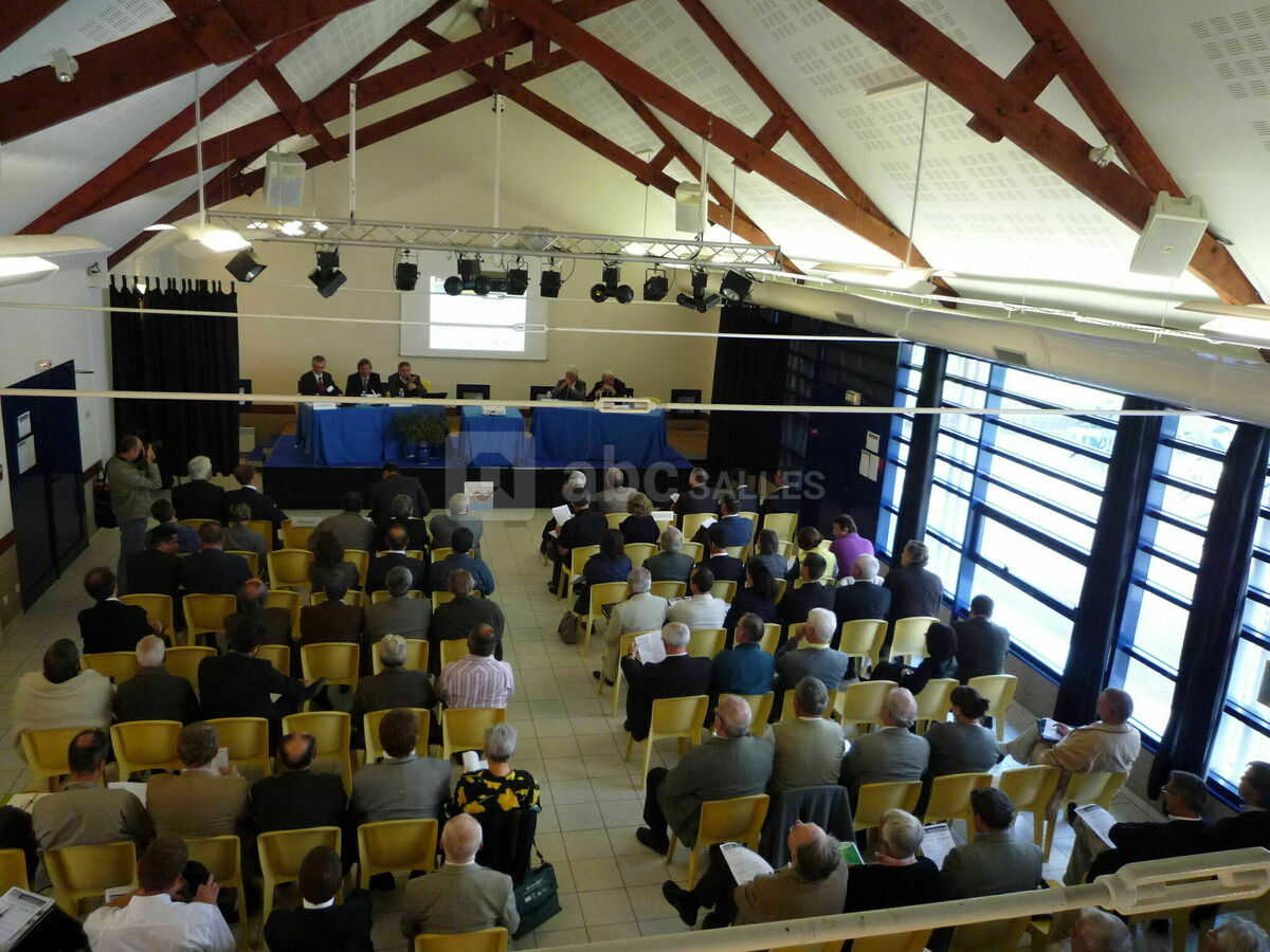 Séminaire dans la roselière