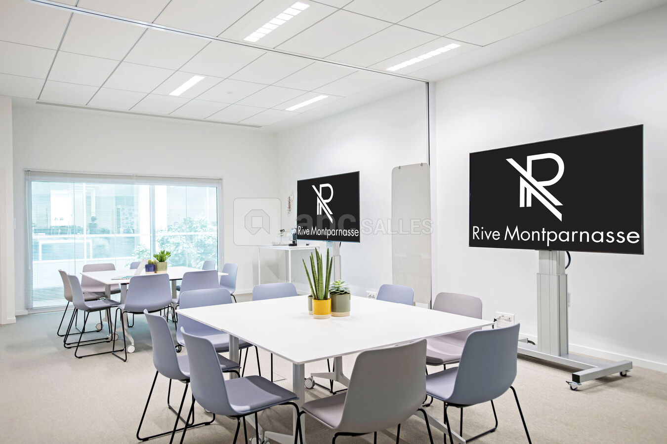 56m² à la lumière indirecte du jour