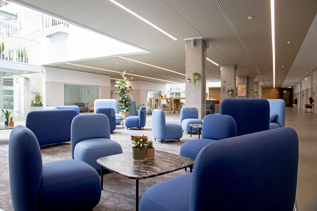 Foyer de 700m² avec 2 puits de lumière et du mobilier modulable