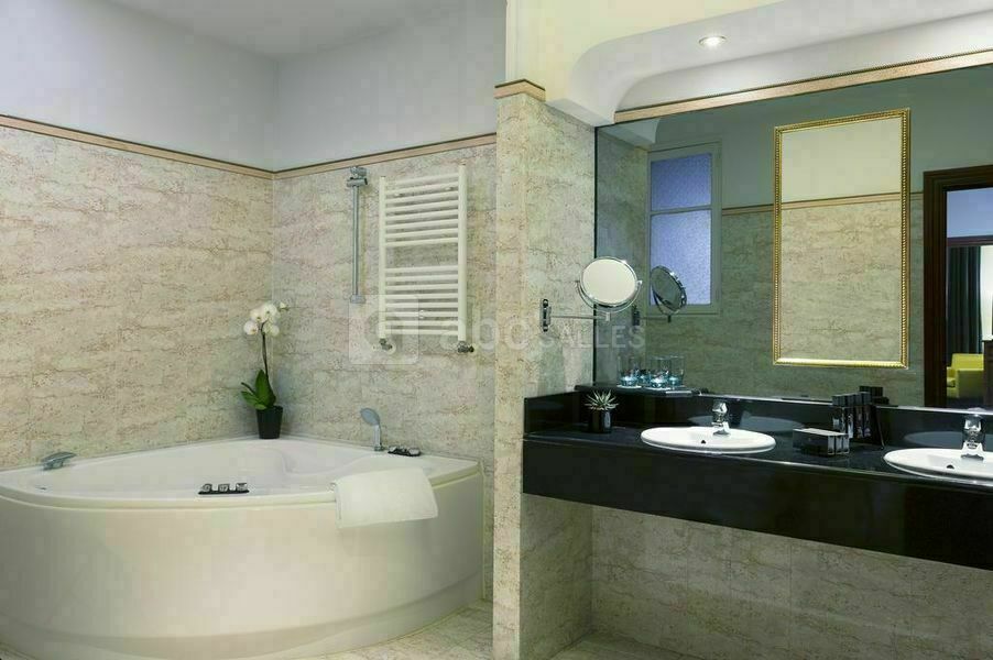 Salle de bain / Suite