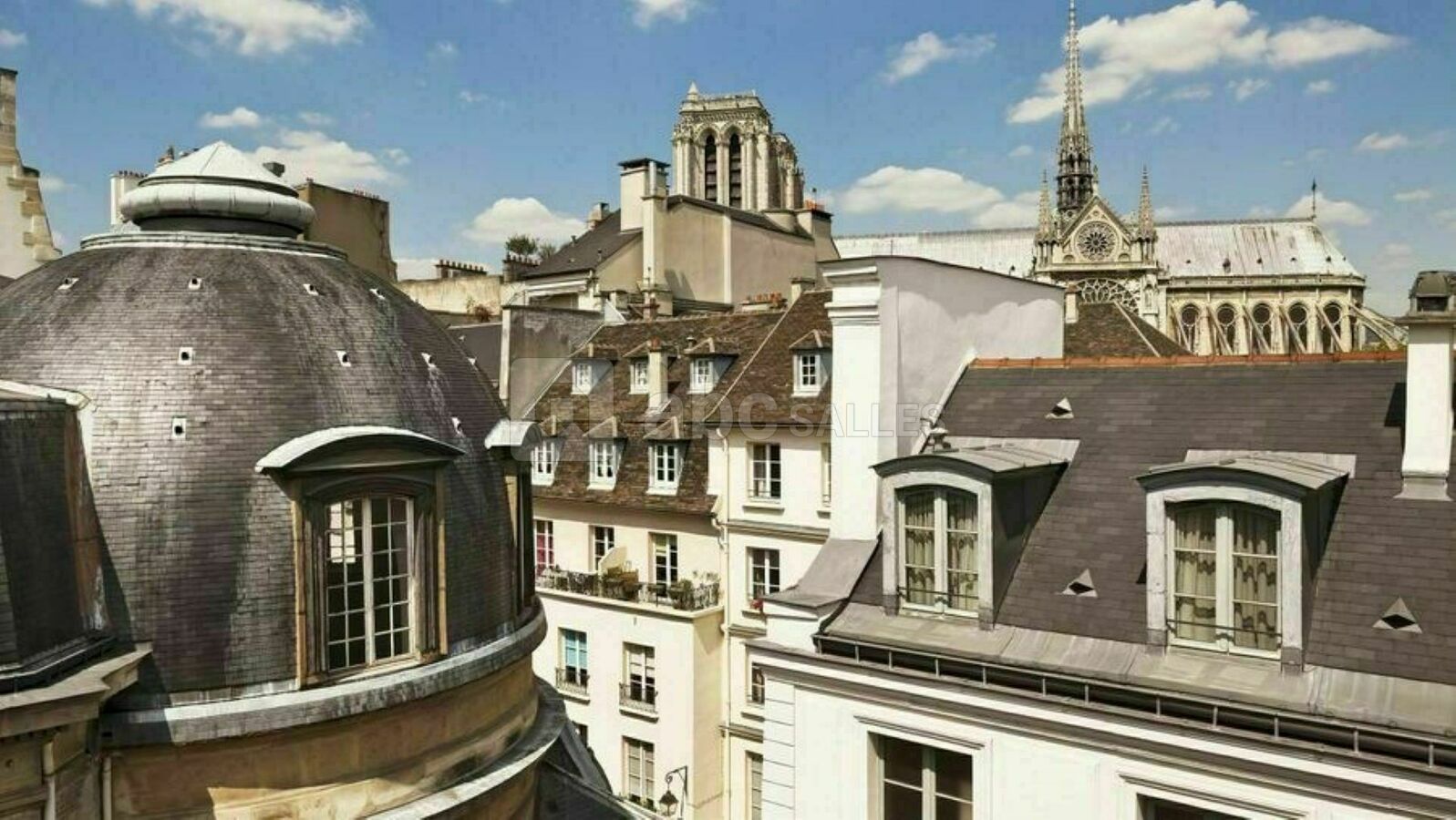 Vue Toits de Paris