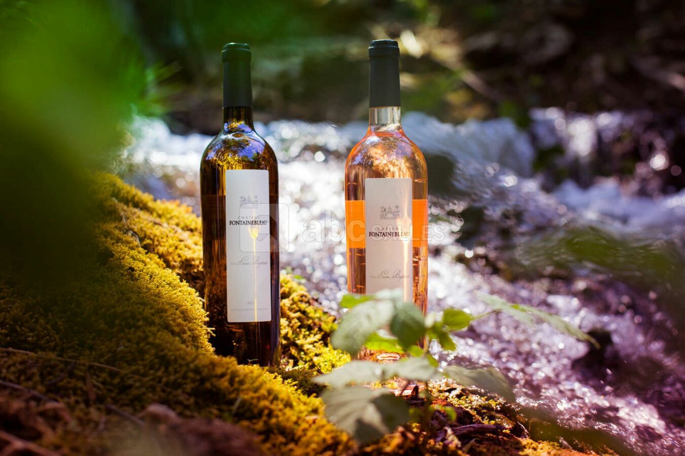 Vins du domaine de fontainebleau