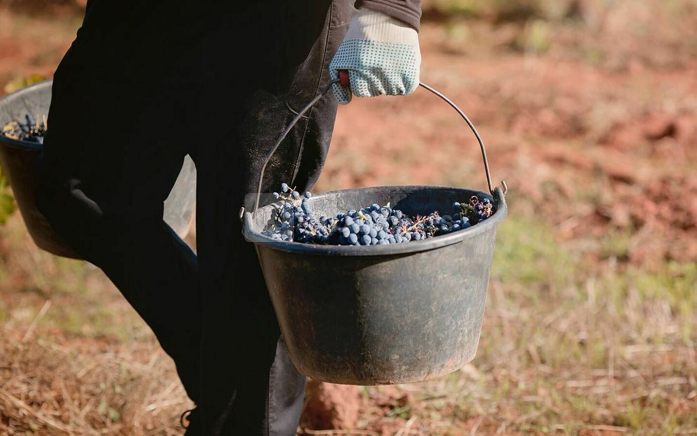 Domaine de Fontainebleau