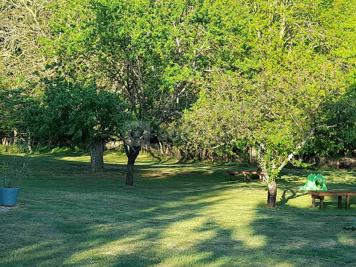 Parc du domaine