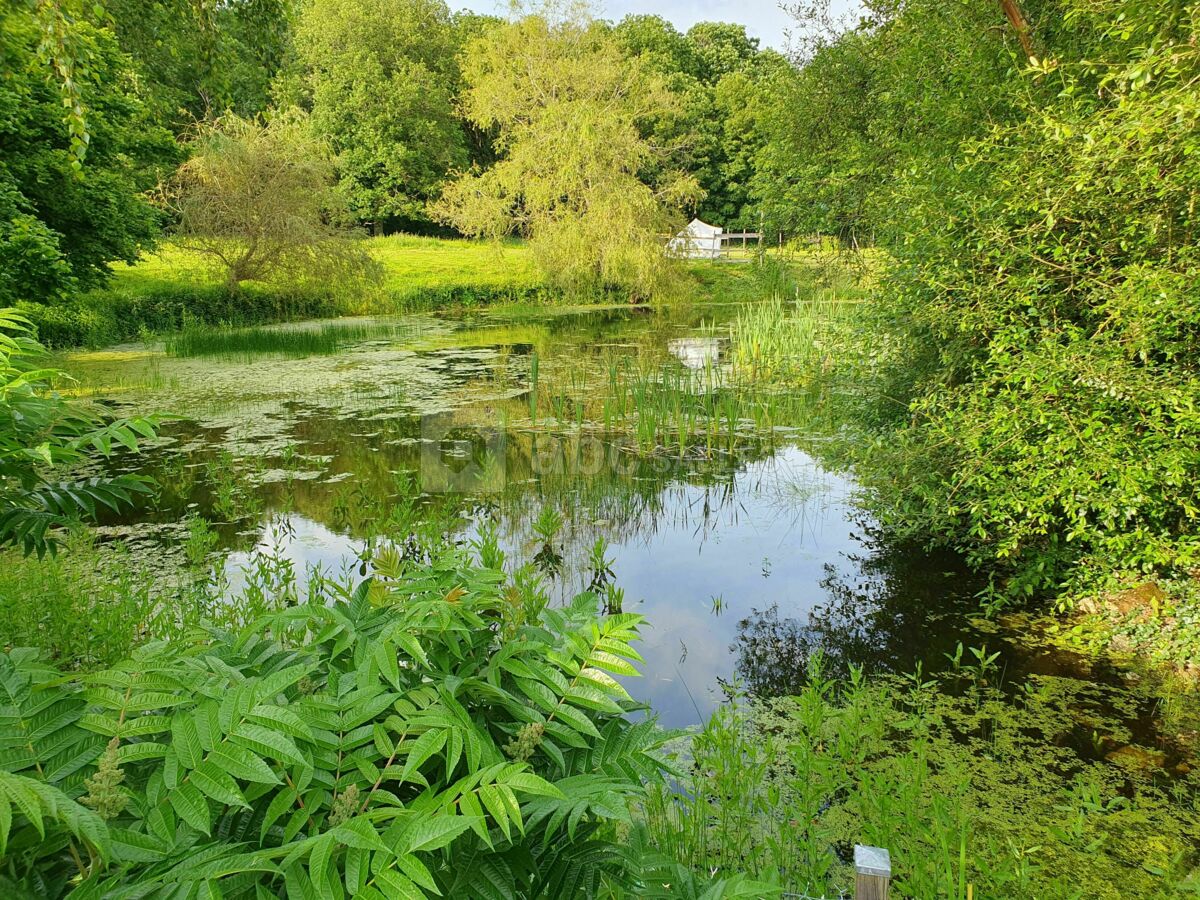 ETANG PRES DU TIPI
