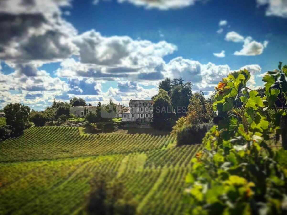 Château la Fontaine