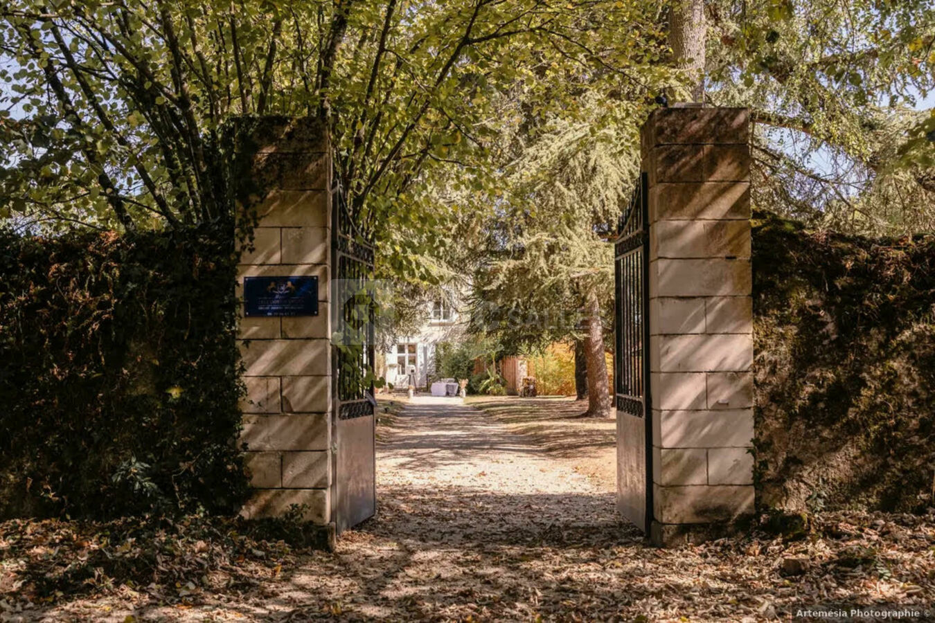 Entrée