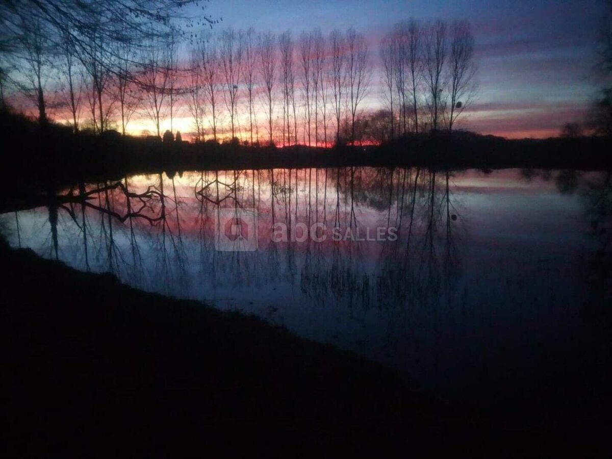 Coucher de soleil sur l'étang