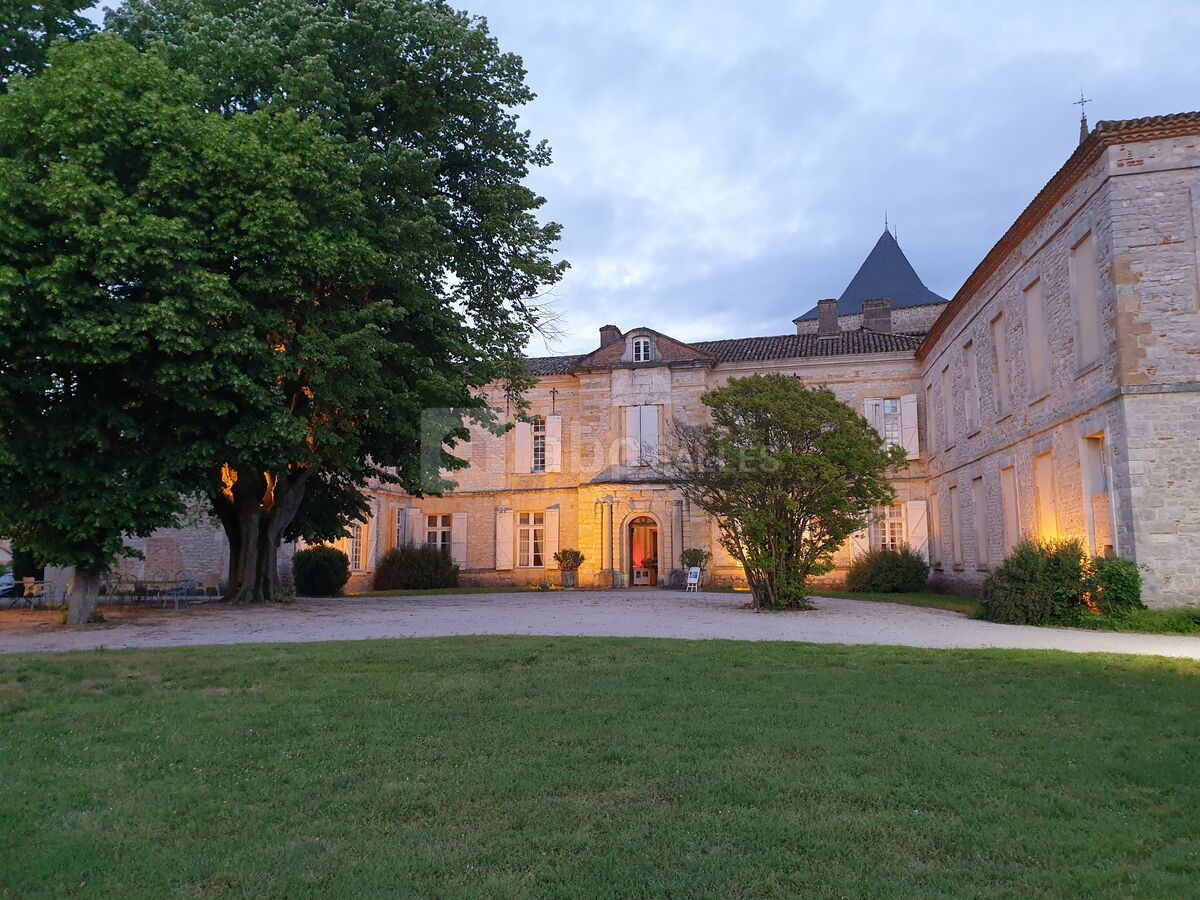 Château de Montricoux 2