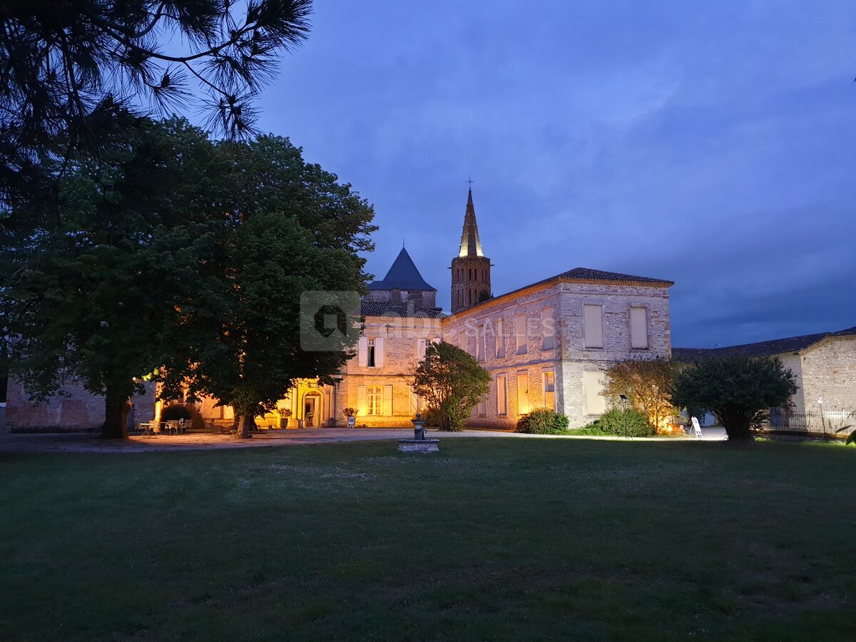 Château de Montricoux 3