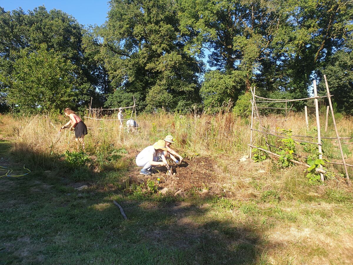 Espace permaculture