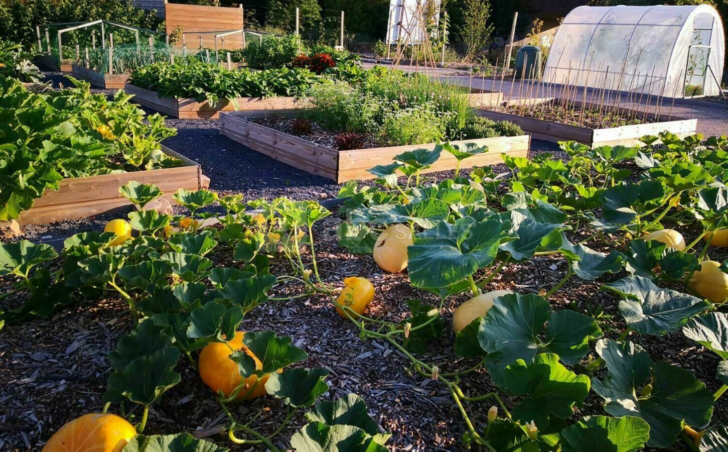 Permaculture