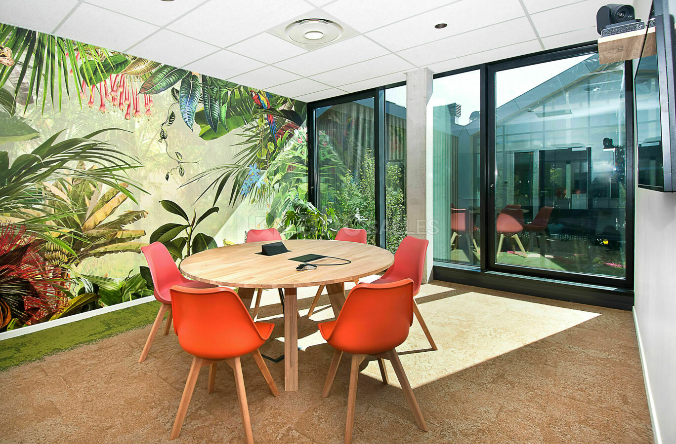 Salle Amazone