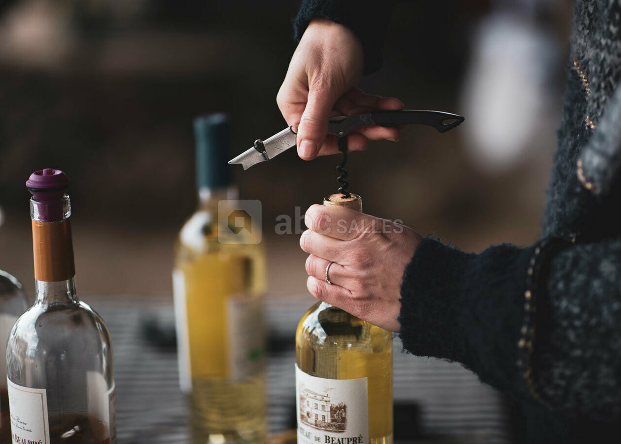 Dégustation de vins