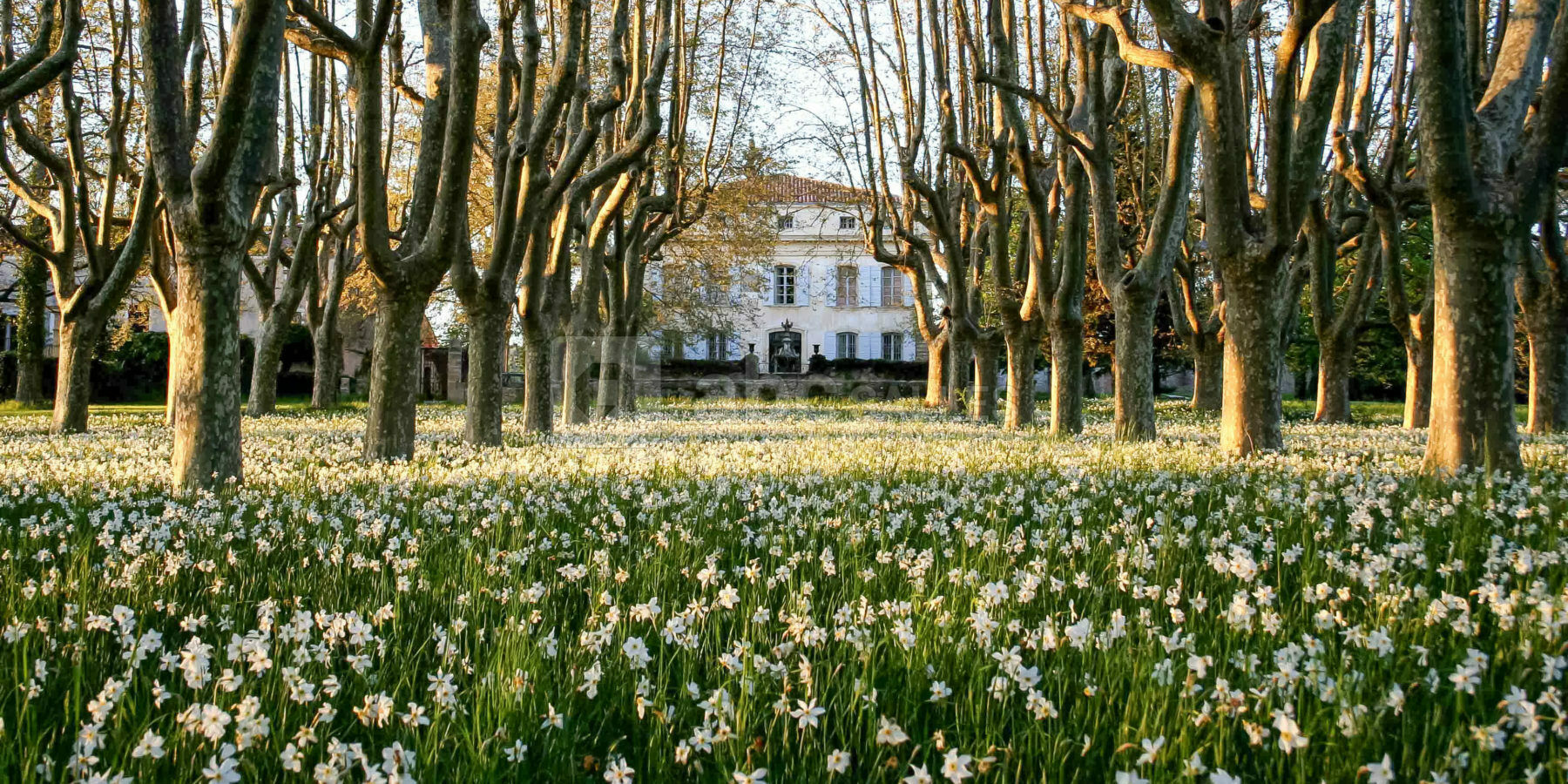 Le Château de Beaupré en Coteaux d'Aix-en-Provence