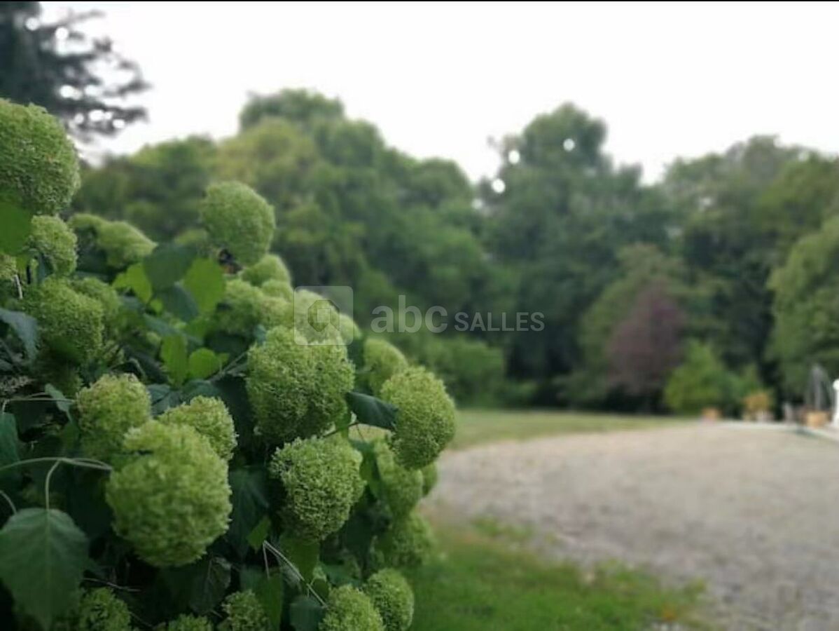 Château de Saint Brice ABC Salles