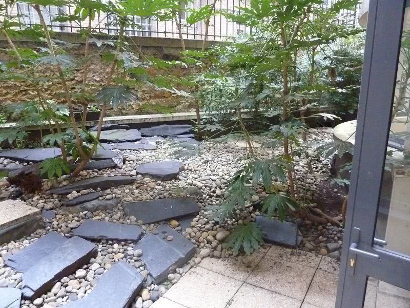Terrasse_1