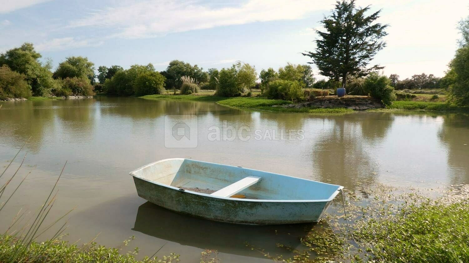 Barque