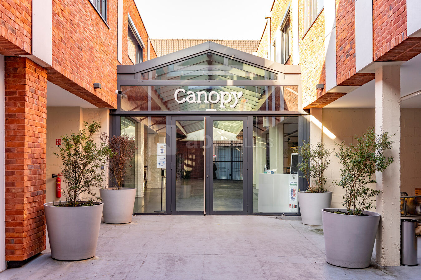 Entrée Canopy