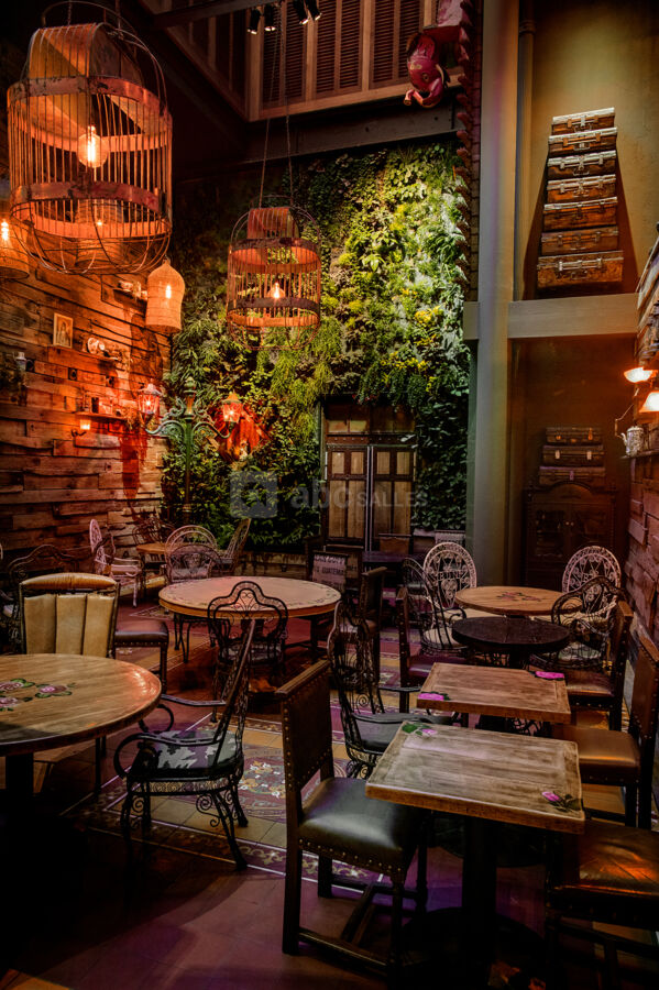 LE PATIO 1ER ETAGE