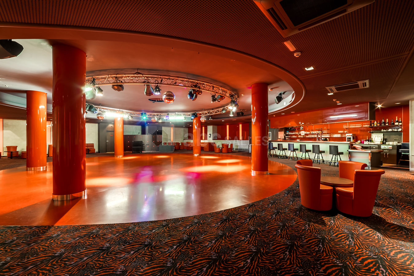 Discothèque