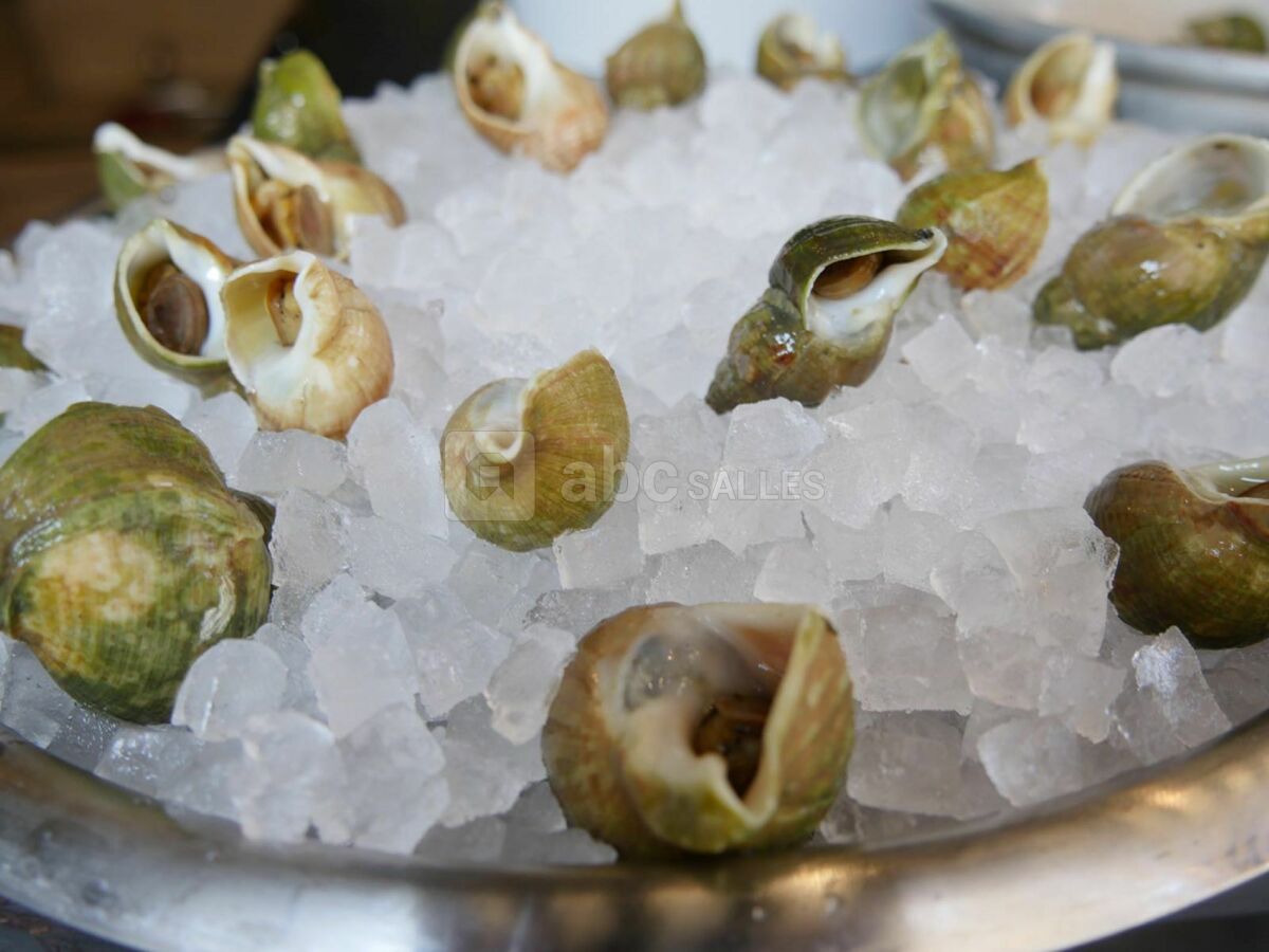 Bar à huîtres