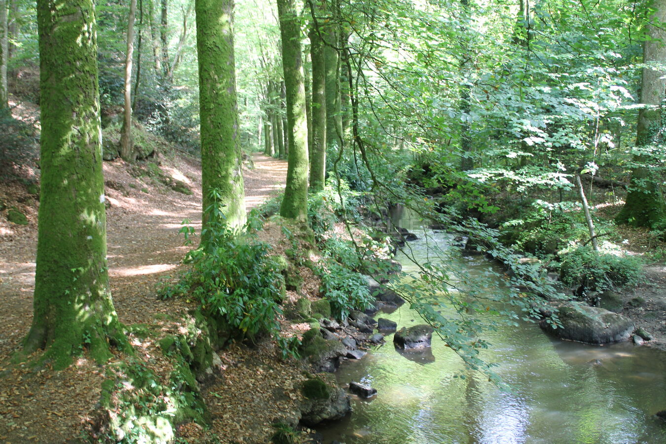 Parc arboré de 12 ha