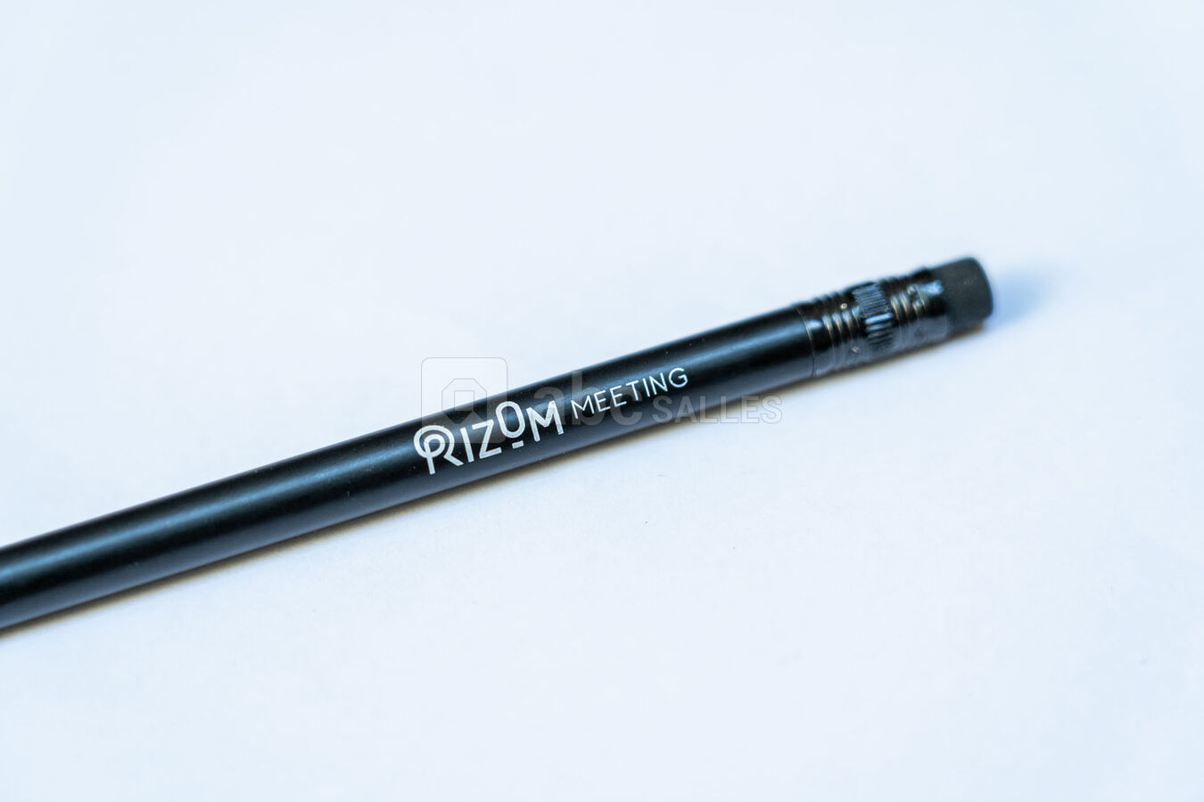 Crayon du Rizom Meeting
