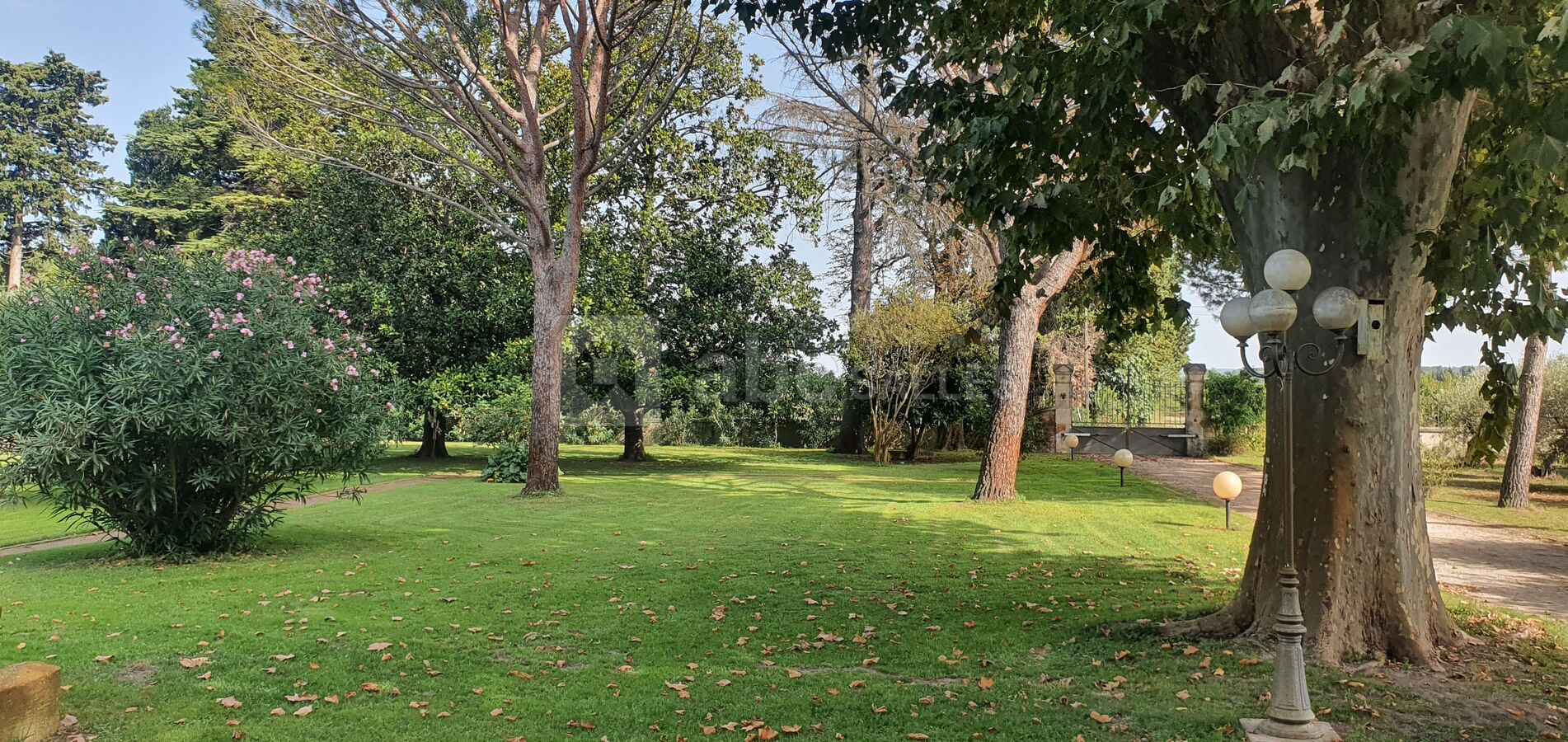 Jardin
