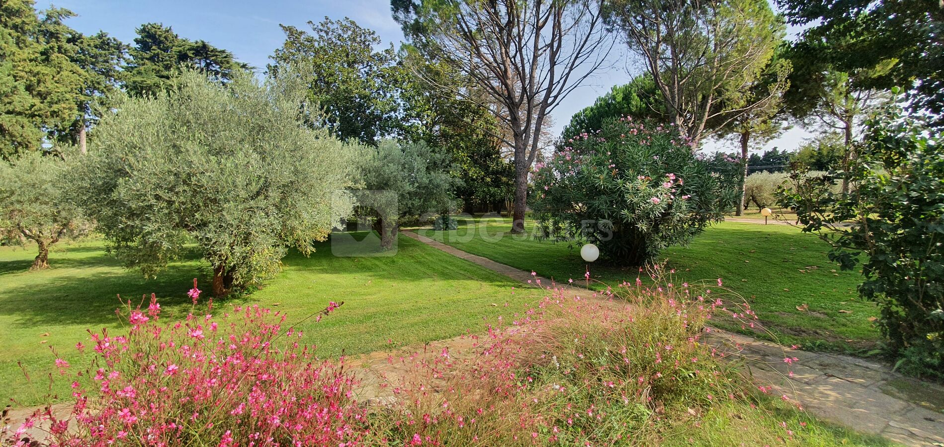 Jardin